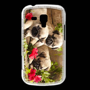 Coque Samsung Galaxy Trend Trio de chiots Carlin