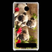 Coque Sony Xperia E1 Trio de chiots Carlin