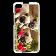 Coque Blackberry Z30 Trio de chiots Carlin