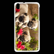 Coque HTC Desire 816 Trio de chiots Carlin