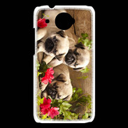 Coque HTC Desire 601 Trio de chiots Carlin