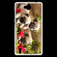 Coque Huawei Ascend G740 Trio de chiots Carlin