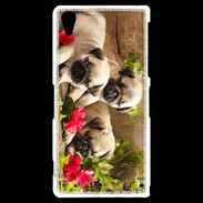 Coque Sony Xperia Z2 Trio de chiots Carlin