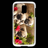 Coque Samsung Galaxy S5 Mini Trio de chiots Carlin
