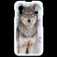 Coque Samsung ACE S5830 Loup gris 150 