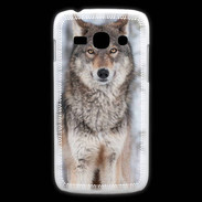 Coque Samsung Galaxy Ace3 Loup gris 150 