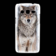 Coque Samsung Galaxy Express2 Loup gris 150 