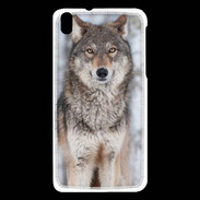Coque HTC Desire 816 Loup gris 150 