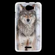 Coque HTC Desire 516 Loup gris 150 