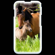 Coque Samsung ACE S5830 Cheval et poulain