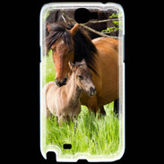 Coque Samsung Galaxy Note 2 Cheval et poulain