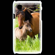 Coque Samsung Galaxy S Cheval et poulain