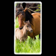 Coque Sony Xperia Z Cheval et poulain
