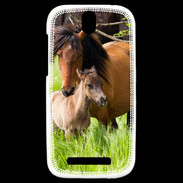 Coque HTC One SV Cheval et poulain