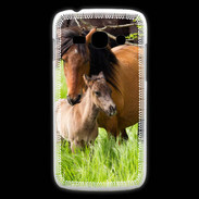 Coque Samsung Galaxy Ace3 Cheval et poulain