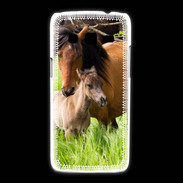 Coque Samsung Galaxy Express2 Cheval et poulain