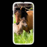 Coque Motorola G Cheval et poulain