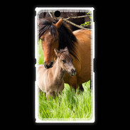 Coque Sony Xpéria Z Ultra Cheval et poulain