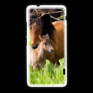 Coque HTC One Max Cheval et poulain