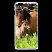 Coque iPhone 6Plus / 6Splus Cheval et poulain