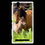 Coque Sony Xperia T2 Ultra Cheval et poulain