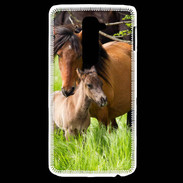 Coque LG G2 Cheval et poulain