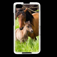 Coque Blackberry Z30 Cheval et poulain