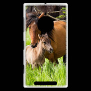 Coque Nokia Lumia 830 Cheval et poulain