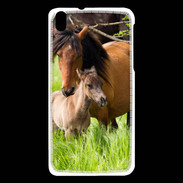 Coque HTC Desire 816 Cheval et poulain