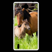 Coque Huawei Ascend G740 Cheval et poulain