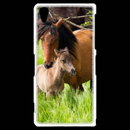 Coque Sony Xperia Z2 Cheval et poulain