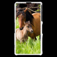 Coque Sony Xperia Z1 Compact Cheval et poulain