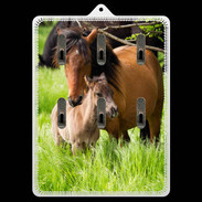 Porte clés Cheval et poulain