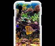 Coque Samsung ACE S5830 Poisson Tropical