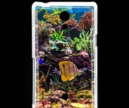 Coque Sony Xperia T Poisson Tropical