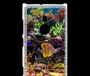 Coque Nokia Lumia 925 Poisson Tropical