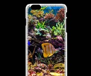 Coque iPhone 6Plus / 6Splus Poisson Tropical