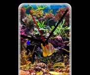 Pendule de bureau Poisson Tropical