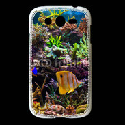 Coque Samsung Galaxy Grand Poisson Tropical