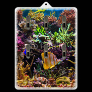 Porte clés Poisson Tropical