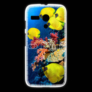 Coque Motorola G Poisson Tropical 2