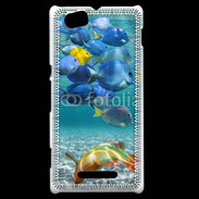 Coque Sony Xperia M poisson tropical 3
