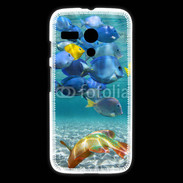 Coque Motorola G poisson tropical 3