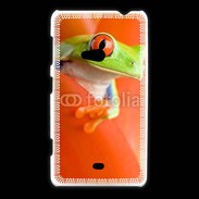 Coque Nokia Lumia 625 grenouille