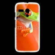 Coque Motorola G grenouille