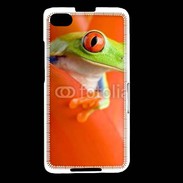 Coque Blackberry Z30 grenouille