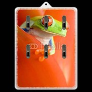 Porte clés grenouille