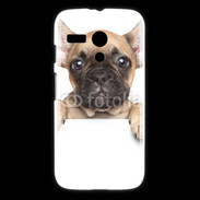 Coque Motorola G chien 10