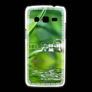 Coque Samsung Galaxy Express2 herbe