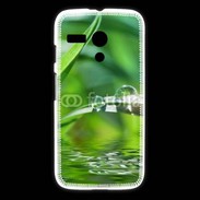 Coque Motorola G herbe